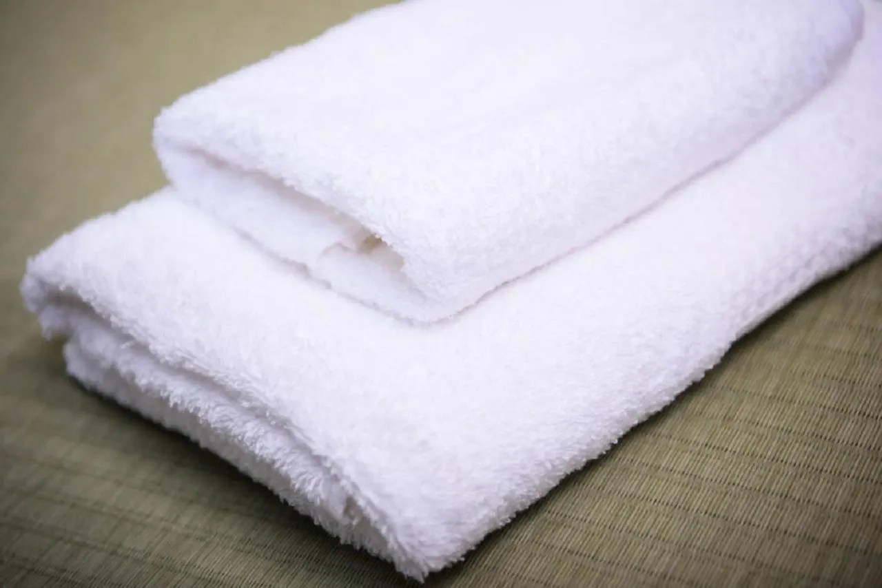 Hotel Guest House Wagokoro Tokio